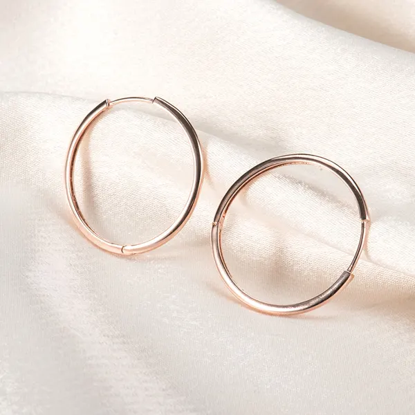 Classic Hoop Earrings