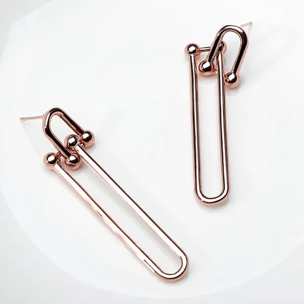 Link Chain Earrings